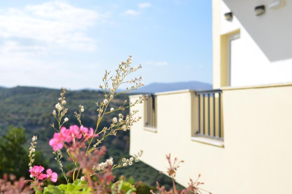 Almirida Kaloudis Apartments المظهر الخارجي الصورة